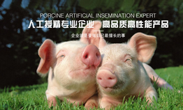 �B�i��ĸ�i�˹��ھ�������