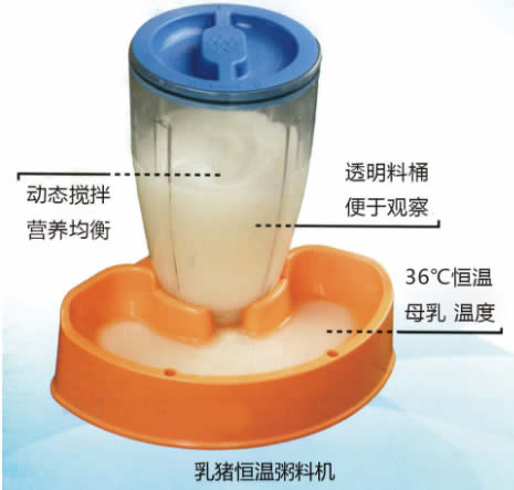 �i���ι�O����ʲô��