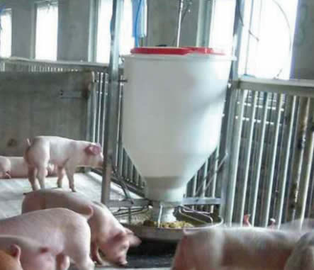 �Bֳ����Ҫ�i���ι�O��đ������c���lչ