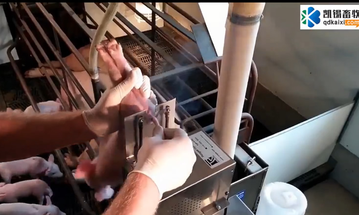 ���i�o(h��)��܇������β��ȥ�ݡ�ע�� һ�����