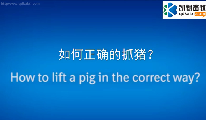 ������_��ץ�i