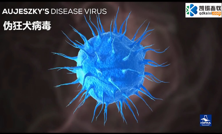 ��(d��ng)������ - �i�ο�Ȯ���в��W(xu��)