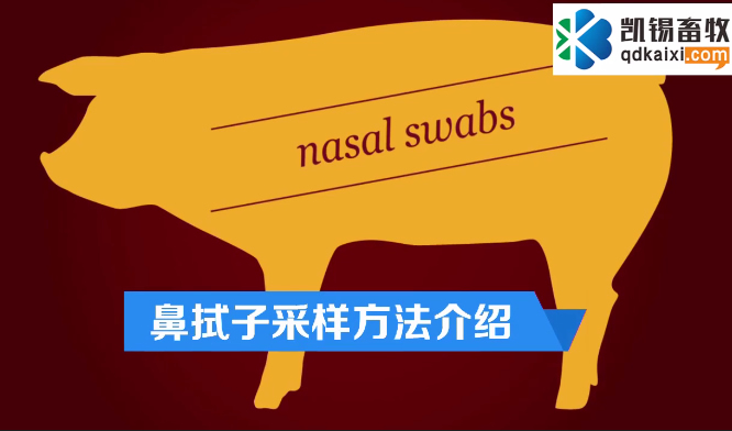 �����Ӳɘӷ�����ʾ