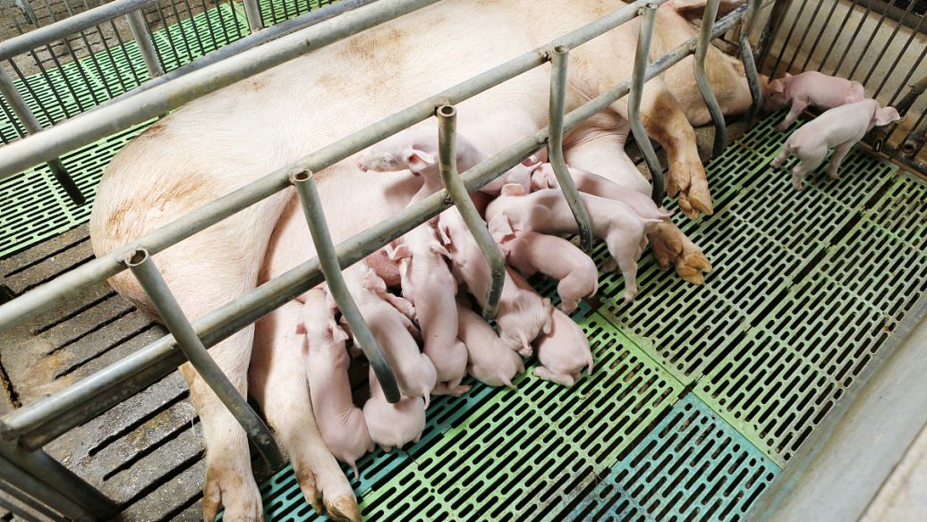 ȫ�Ԅ�(d��ng)Һ�w���b�C(j��)�a(ch��n)Ʒ���c(di��n)