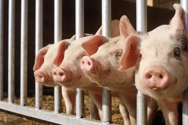 һ����С��ϴ�l(f��)ˮ���b�C(j��)���Ͻ�Q