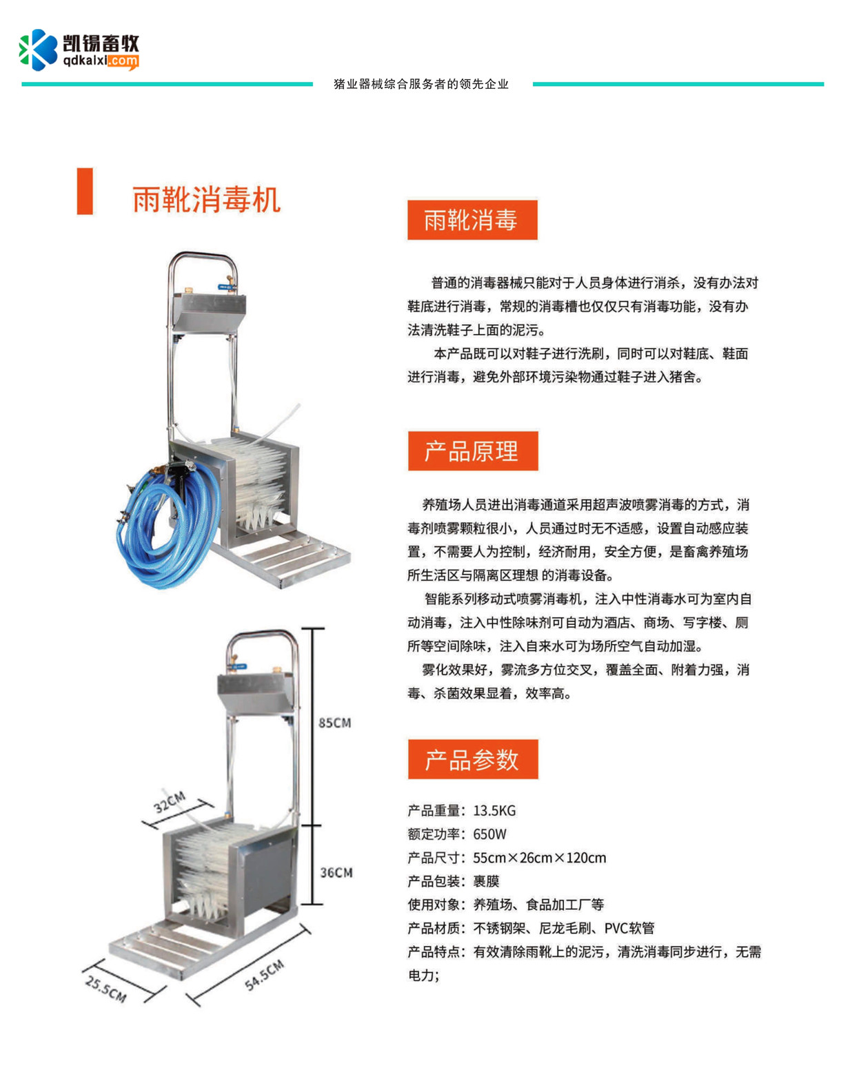 ��ѥ�����C