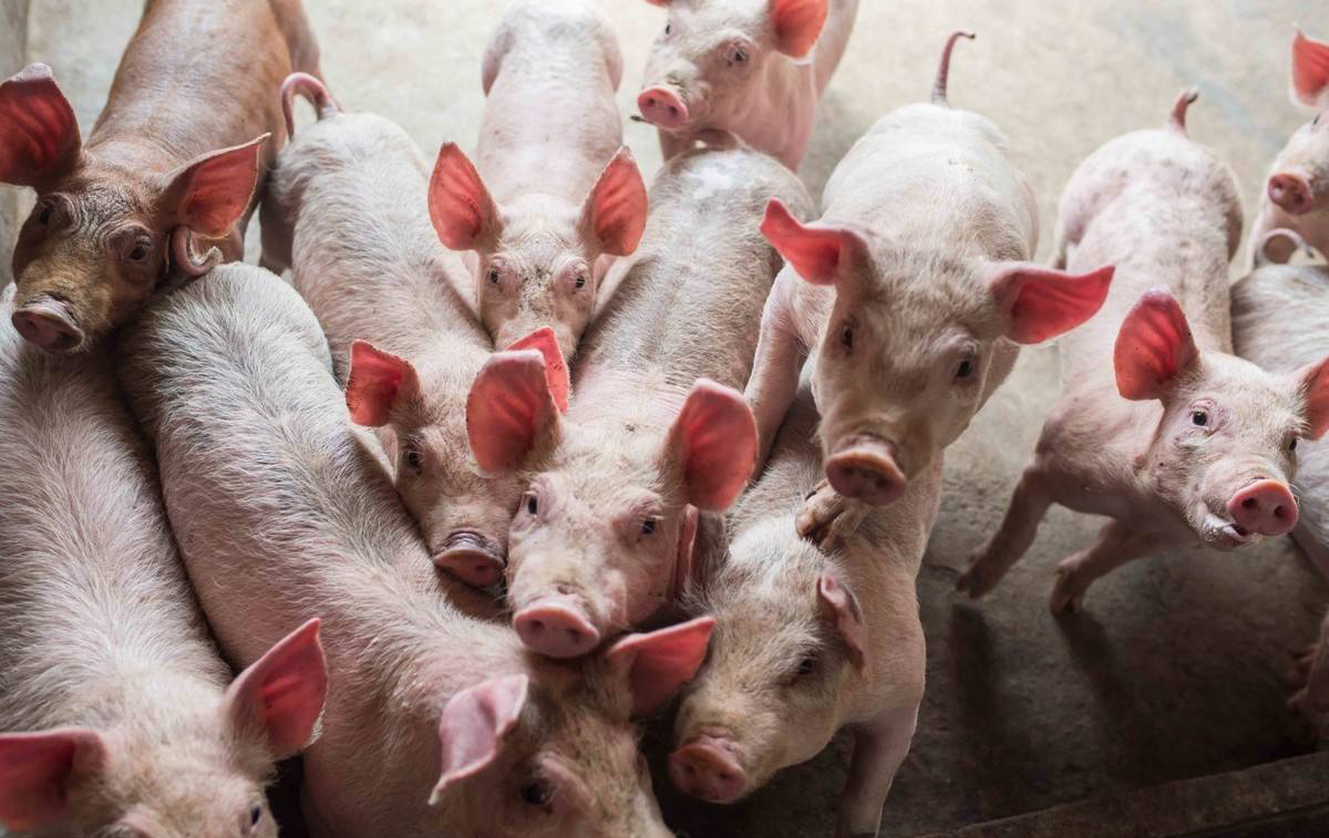 �߮a�Д������i�|�� һ����Ҫ�ę��?