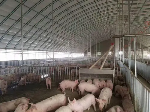 �ɹⶨ��PCR�z�y���F����Եĳ�Ҋԭ��