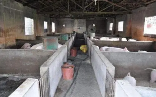 ��ν��͌������Ⱦ�ͼ���ԣ�