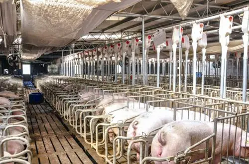 �e�`�����i�������i���ɹⶨ��PCR�z�y��Ҋ����ԽY������