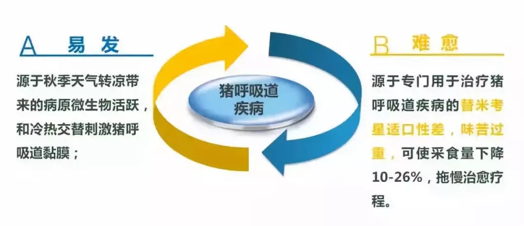 �ﶬ���߰l���@���i�����������A��ָ��Ո�պã�