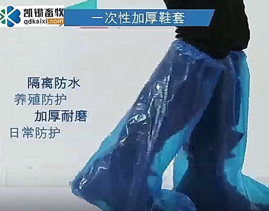 һ���ԼӺ�Ь��