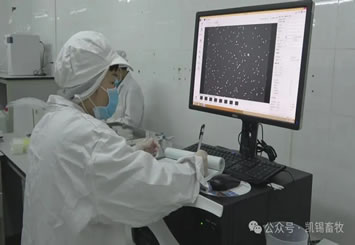 ���������˹��ھ��ɹ��ʣ���(sh��)�(y��n)�Ҳ������P(gu��n)�I��