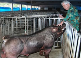 ���������˹��ھ��ɹ��ʣ���(x��)��(ji��)�Q���ɔ������i��B(y��ng)��������Ҫ�c(di��n)��