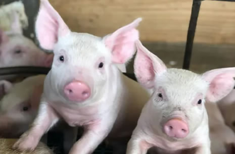 ���I(l��ng)�B(y��ng)�i�I(y��)�³�����늄�(d��ng)���i܇���B(y��ng)ֳ��